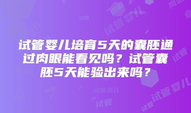 试管婴儿培育5天的囊胚通过肉眼能看见吗?试管囊胚5天能验出来吗?