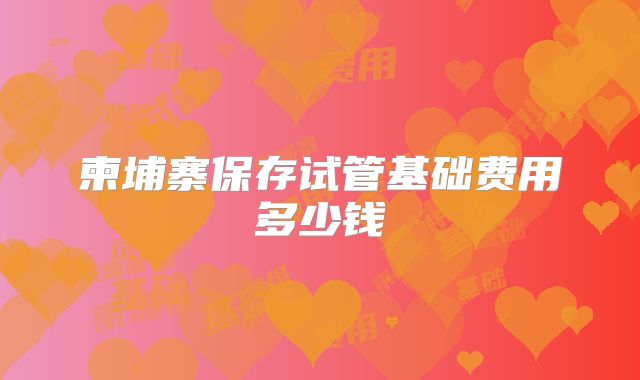 柬埔寨保存试管基础费用多少钱