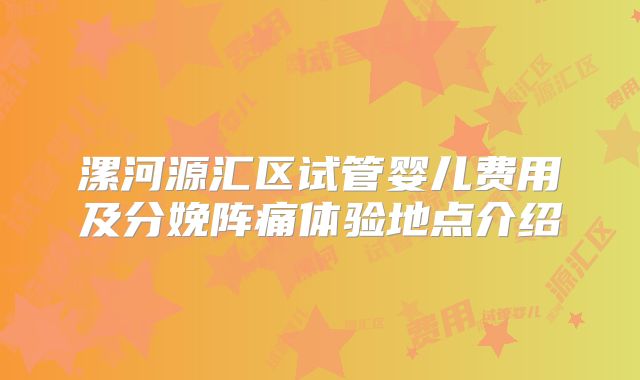漯河源汇区试管婴儿费用及分娩阵痛体验地点介绍