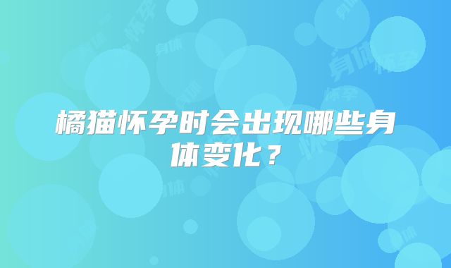 橘猫怀孕时会出现哪些身体变化?