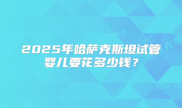 2025年哈萨克斯坦试管婴儿要花多少钱？