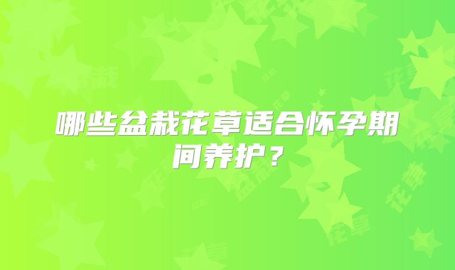 哪些盆栽花草适合怀孕期间养护？