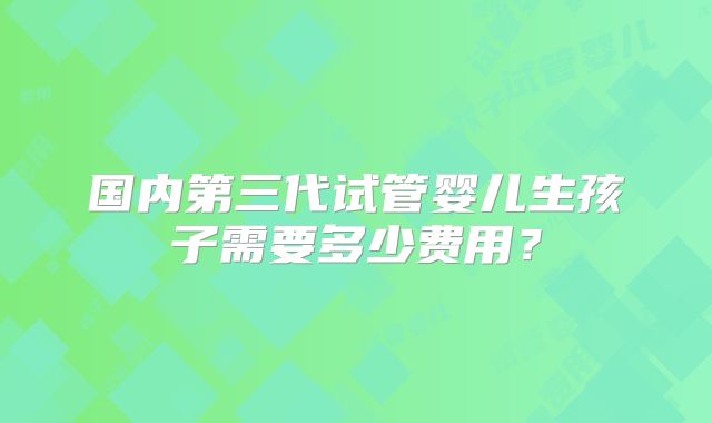 国内第三代试管婴儿生孩子需要多少费用？