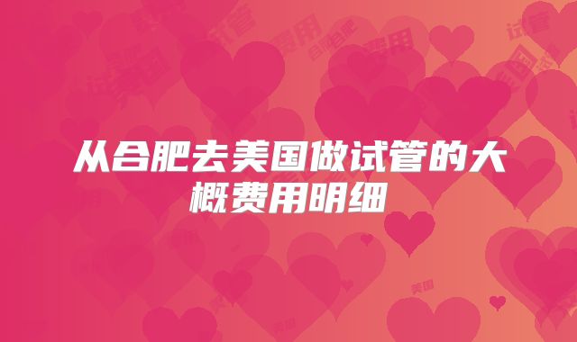 从合肥去美国做试管的大概费用明细