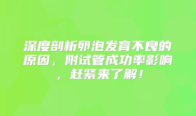 深度剖析卵泡发育不良的原因，附试管成功率影响，赶紧来了解！