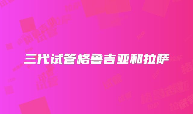 三代试管格鲁吉亚和拉萨