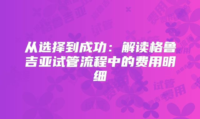 从选择到成功：解读格鲁吉亚试管流程中的费用明细