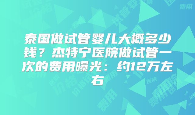泰国做试管婴儿大概多少钱？杰特宁医院做试管一次的费用曝光：约12万左右