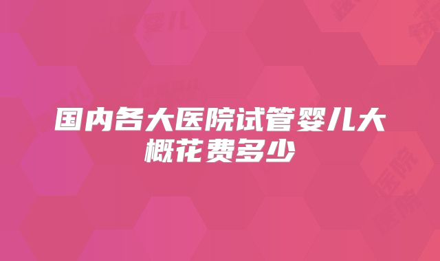 国内各大医院试管婴儿大概花费多少