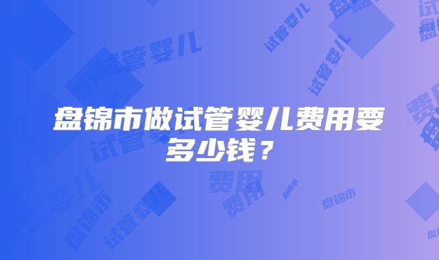 盘锦市做试管婴儿费用要多少钱？