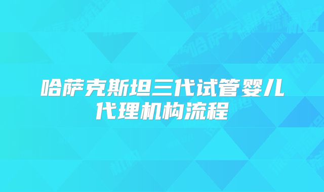 哈萨克斯坦三代试管婴儿代理机构流程