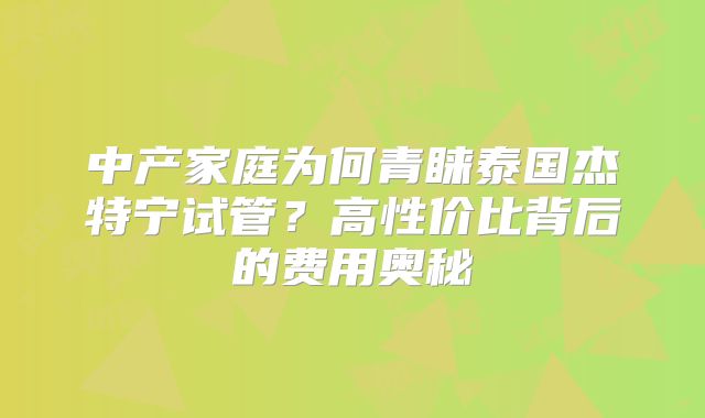 中产家庭为何青睐泰国杰特宁试管？高性价比背后的费用奥秘