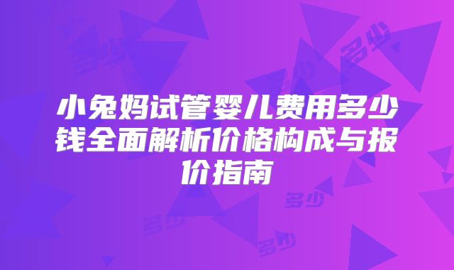 小兔妈试管婴儿费用多少钱全面解析价格构成与报价指南