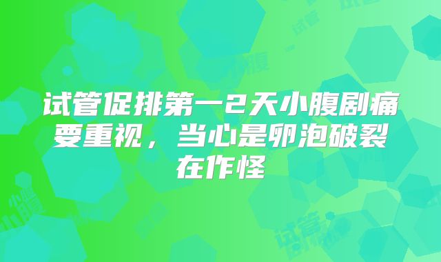试管促排第一2天小腹剧痛要重视,当心是卵泡破裂在作怪