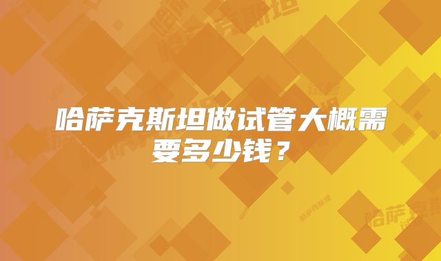 哈萨克斯坦做试管大概需要多少钱？