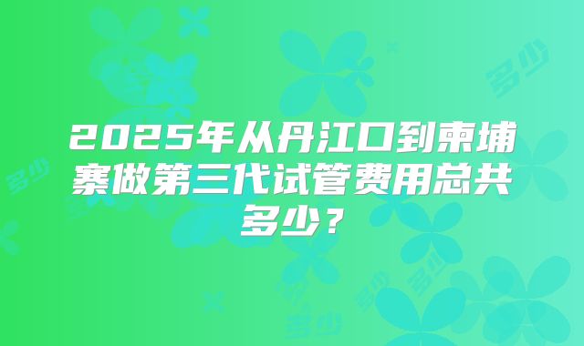 2025年从丹江口到柬埔寨做第三代试管费用总共多少？