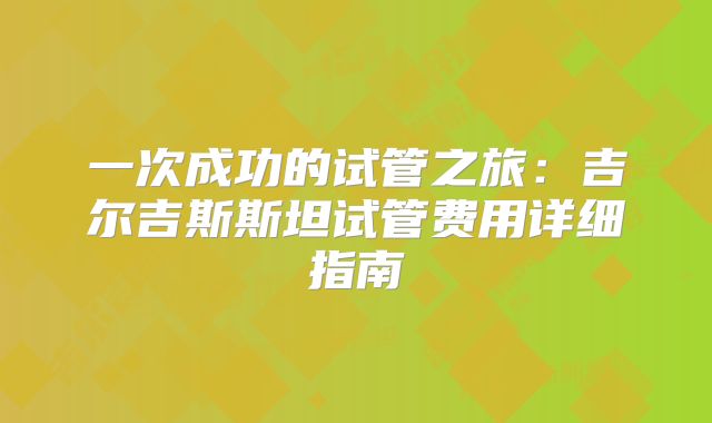 一次成功的试管之旅：吉尔吉斯斯坦试管费用详细指南