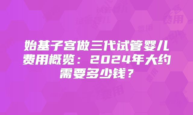 始基子宫做三代试管婴儿费用概览：2024年大约需要多少钱？