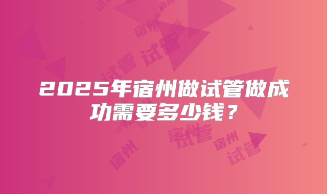 2025年宿州做试管做成功需要多少钱？