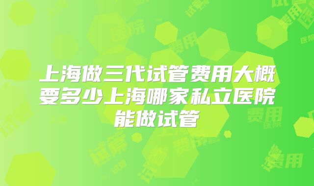 上海做三代试管费用大概要多少上海哪家私立医院能做试管
