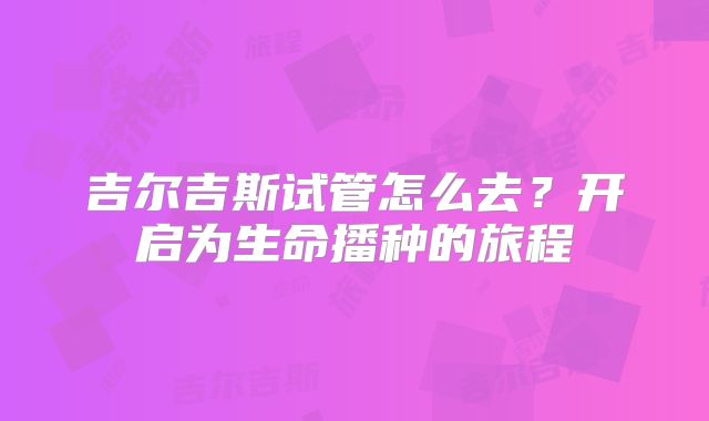 吉尔吉斯试管怎么去？开启为生命播种的旅程