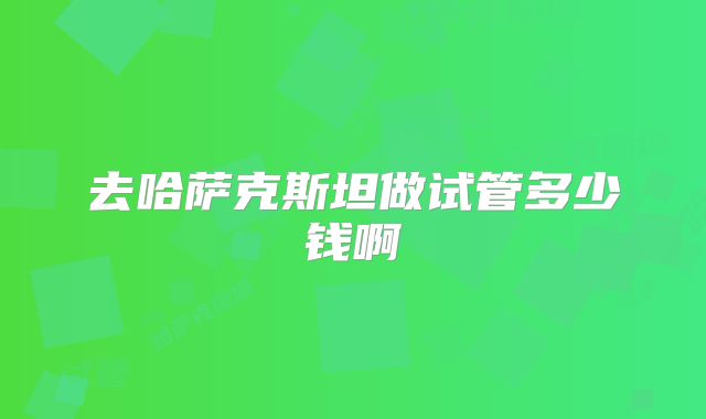 去哈萨克斯坦做试管多少钱啊