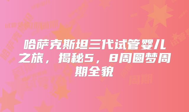 哈萨克斯坦三代试管婴儿之旅，揭秘5，8周圆梦周期全貌