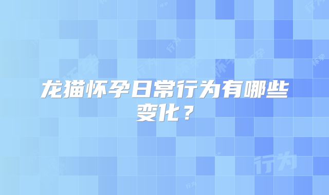 龙猫怀孕日常行为有哪些变化？