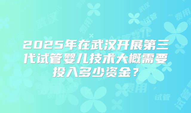 2025年在武汉开展第三代试管婴儿技术大概需要投入多少资金？