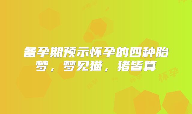 备孕期预示怀孕的四种胎梦，梦见猫，猪皆算