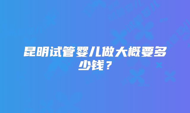 昆明试管婴儿做大概要多少钱？