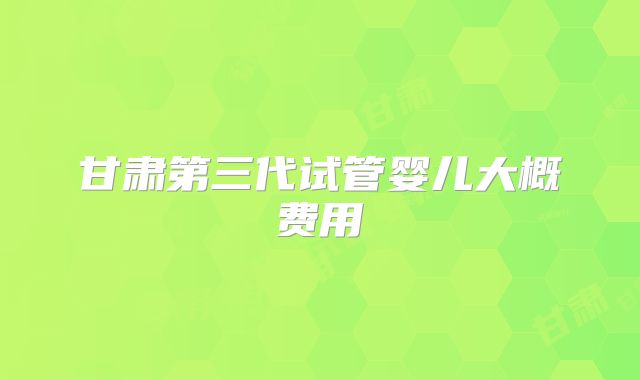 甘肃第三代试管婴儿大概费用