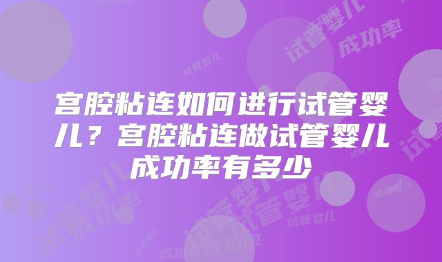 宫腔粘连如何进行试管婴儿？宫腔粘连做试管婴儿成功率有多少