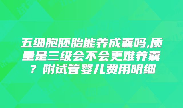 五细胞胚胎能养成囊吗,质量是三级会不会更难养囊？附试管婴儿费用明细