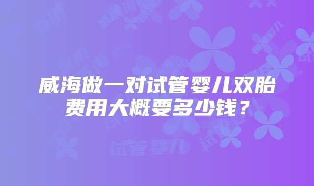 威海做一对试管婴儿双胎费用大概要多少钱？