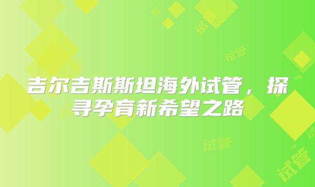 吉尔吉斯斯坦海外试管,探寻孕育新希望之路