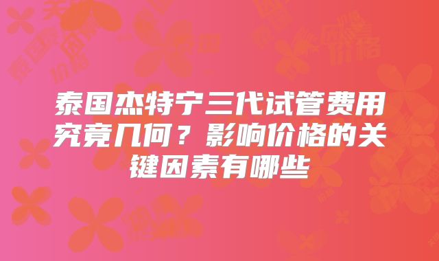 泰国杰特宁三代试管费用究竟几何？影响价格的关键因素有哪些