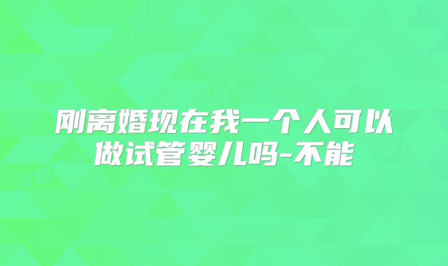 刚离婚现在我一个人可以做试管婴儿吗-不能