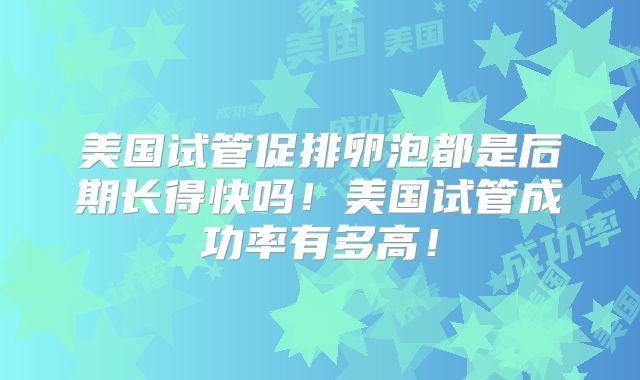 美国试管促排卵泡都是后期长得快吗！美国试管成功率有多高！