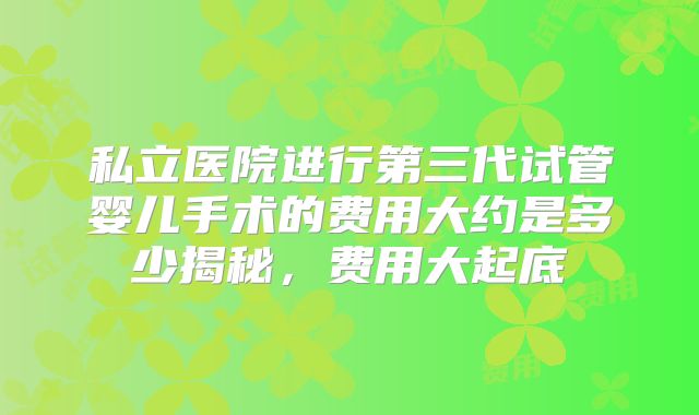 私立医院进行第三代试管婴儿手术的费用大约是多少揭秘,费用大起底