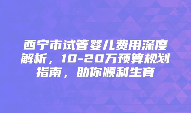 西宁市试管婴儿费用深度解析，10-20万预算规划指南，助你顺利生育