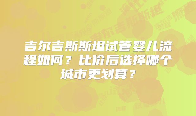 吉尔吉斯斯坦试管婴儿流程如何?比价后选择哪个城市更划算?