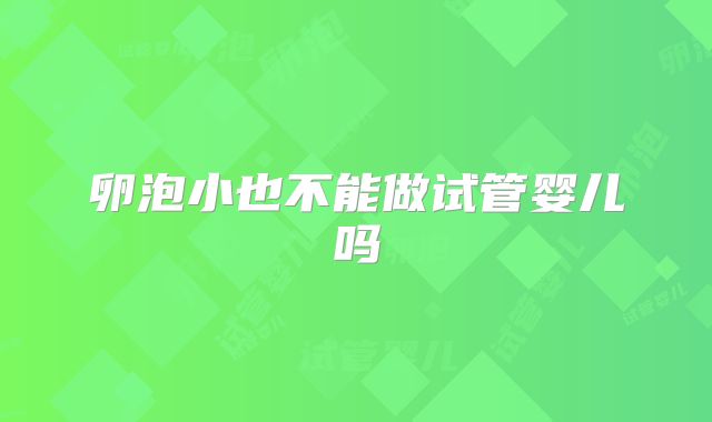 卵泡小也不能做试管婴儿吗