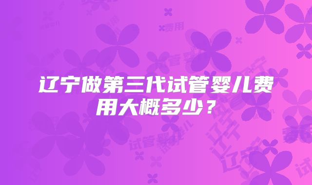 辽宁做第三代试管婴儿费用大概多少？