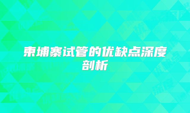 柬埔寨试管的优缺点深度剖析