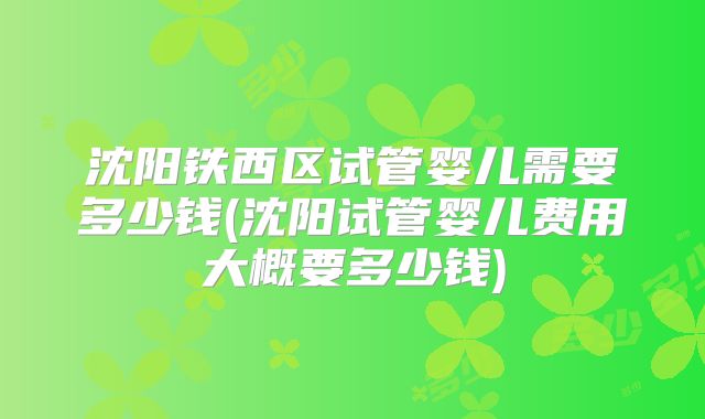 沈阳铁西区试管婴儿需要多少钱(沈阳试管婴儿费用大概要多少钱)