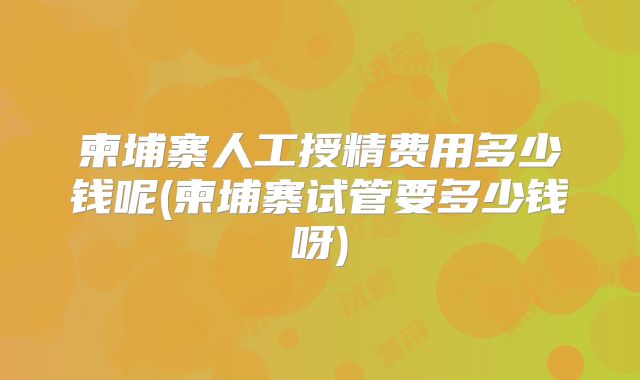 柬埔寨人工授精费用多少钱呢(柬埔寨试管要多少钱呀)