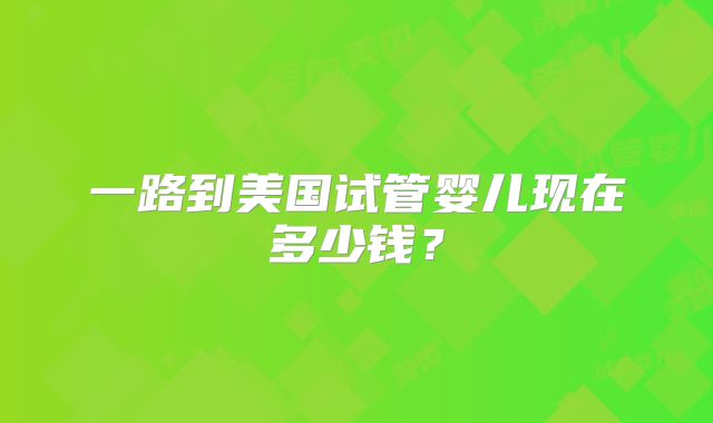 一路到美国试管婴儿现在多少钱？