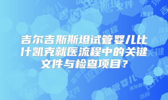 吉尔吉斯斯坦试管婴儿比什凯克就医流程中的关键文件与检查项目？