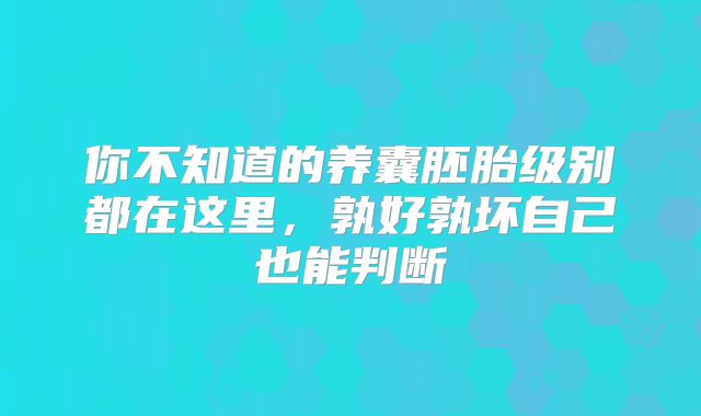 你不知道的养囊胚胎级别都在这里，孰好孰坏自己也能判断